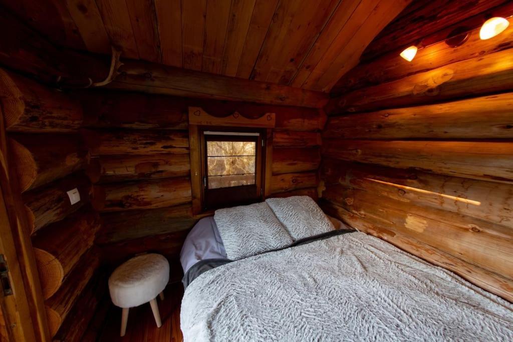 La Cabane Des Colibris Rieupeyroux  Bagian luar foto